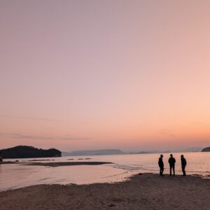 焦らなくていい。「発酵」とオリーブの島・小豆島で、じっくり自分を育むマインドフルネス旅
