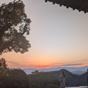 朝の神域、アートな宿、スコッチの夜。ひとりだからこそ満たされる、香川・琴平の静かな1日